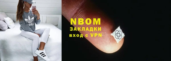 сатива Абинск