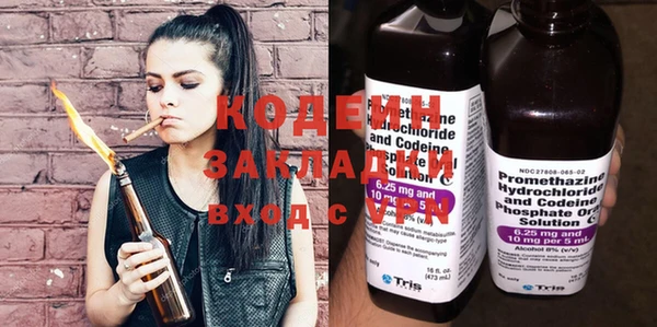 хмурый Алексин