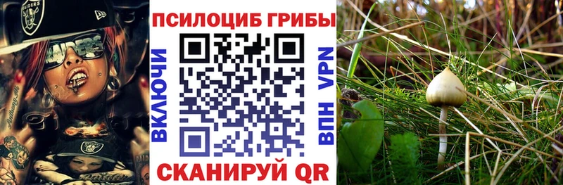 OMG ССЫЛКА  Кумертау  Галлюциногенные грибы Cubensis  наркотики 